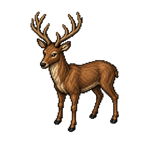 Deer
