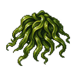 Algae