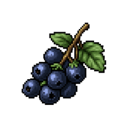 Blueberry