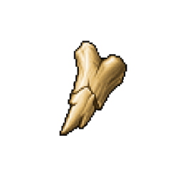 Bone fragment