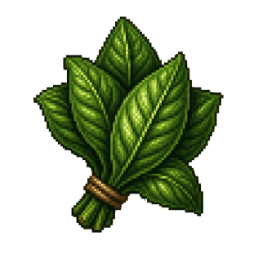 Cacao leaves