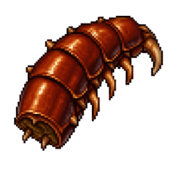 Centipede segment