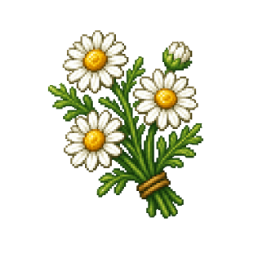 Chamomile