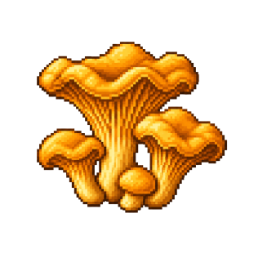Chanterelle