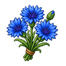 Cornflower