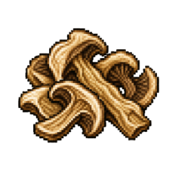 Dried mushrooms