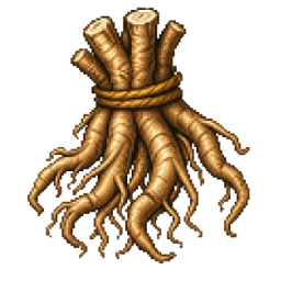Echinacea root