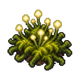 Glimmer moss