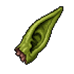 Goblin ear