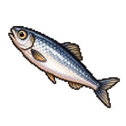 Herring