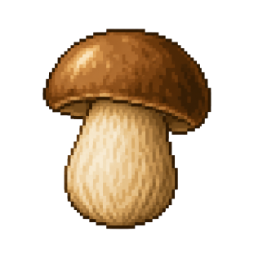 Porcini