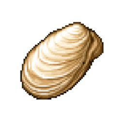 River shell