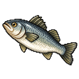 Sea bass