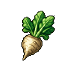 Sugar beet