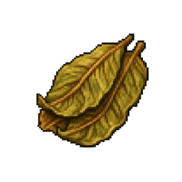 Tobacco leaves